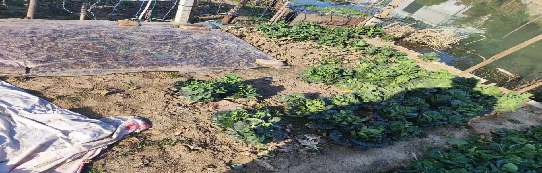 2510b4b9507b4831b12019ad5d7ce0d8.Jpeg 2510b4b9507b4831b12019ad5d7ce0d8.Jpeg