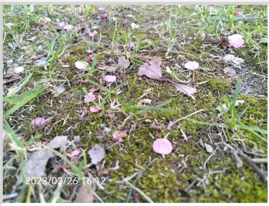 35695d6b672e40eebdad3117f3b8847f.Jpeg 35695d6b672e40eebdad3117f3b8847f.Jpeg