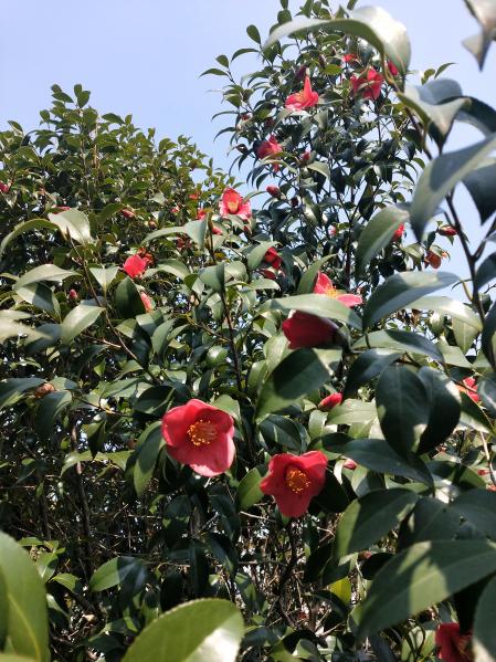 8aa8b84c69be41978c1a11ff6d21d5bc.Jpeg 8aa8b84c69be41978c1a11ff6d21d5bc.Jpeg