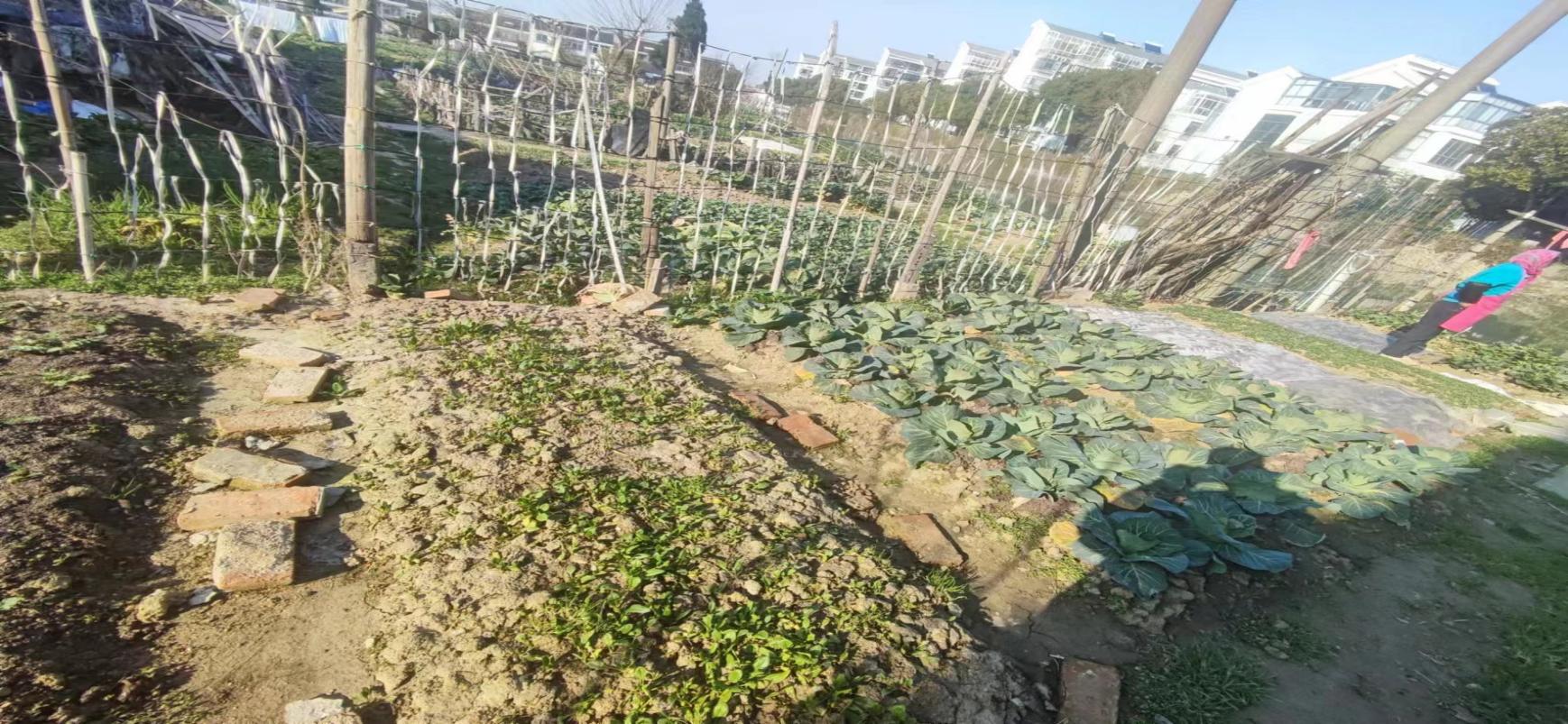 92aa3a15356a4109a9bb6e08aba8bf96.Jpeg 92aa3a15356a4109a9bb6e08aba8bf96.Jpeg