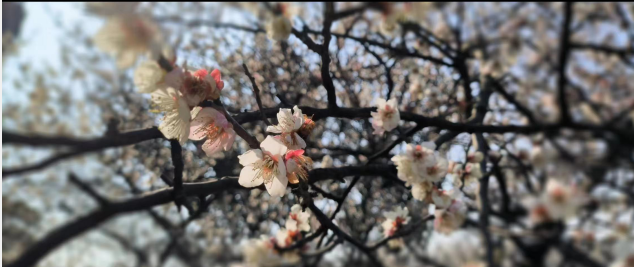 e38befc2ea1b425c9d6691c442315aca.Png e38befc2ea1b425c9d6691c442315aca.Png