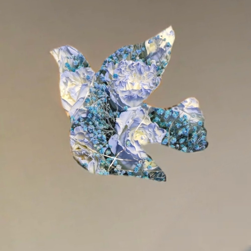 寻找生活中的小确幸