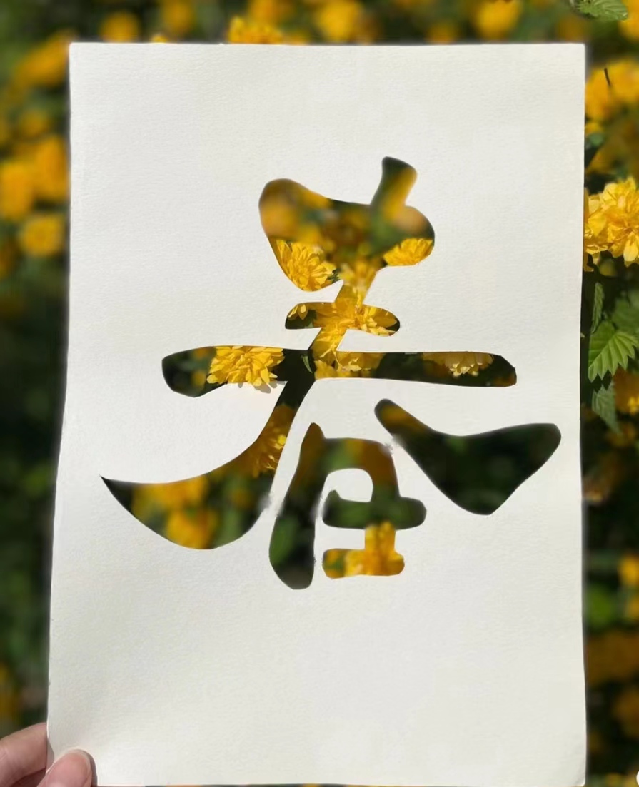 41c59cfcfc194cd69b8edf51bc72e72c.jpg 41c59cfcfc194cd69b8edf51bc72e72c.jpg