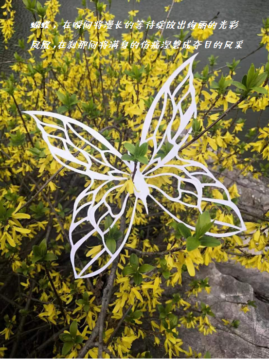 615240208a7f4b9bb55ea1ef9eb1e17c.png 615240208a7f4b9bb55ea1ef9eb1e17c.png