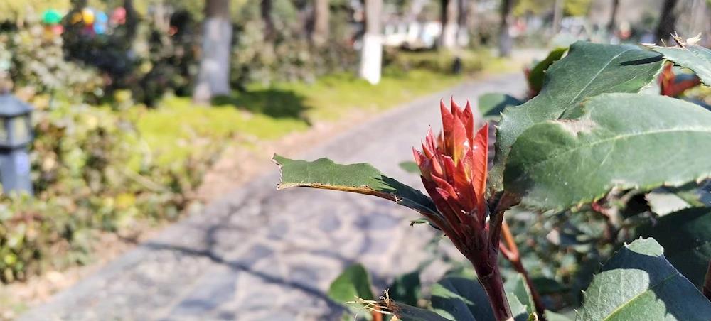 4229606a9a614e289a4982c3b33f0b37.jpg 4229606a9a614e289a4982c3b33f0b37.jpg