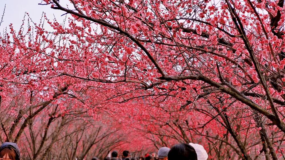 7ae9de85b2a04938b5aa763e0c13e717.jpg 7ae9de85b2a04938b5aa763e0c13e717.jpg