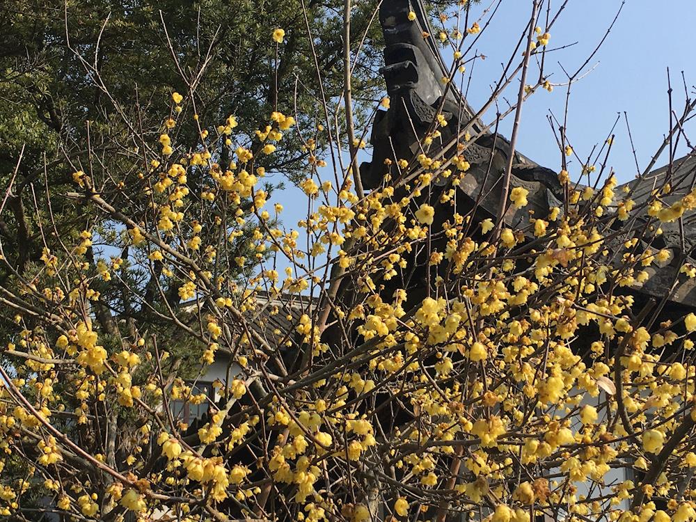 8ccfc9a852a543d69cf2af504781880a.jpg 8ccfc9a852a543d69cf2af504781880a.jpg