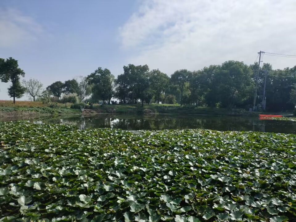 8f1f188ac42d41ad80ba4c38b3e64991.jpg 8f1f188ac42d41ad80ba4c38b3e64991.jpg