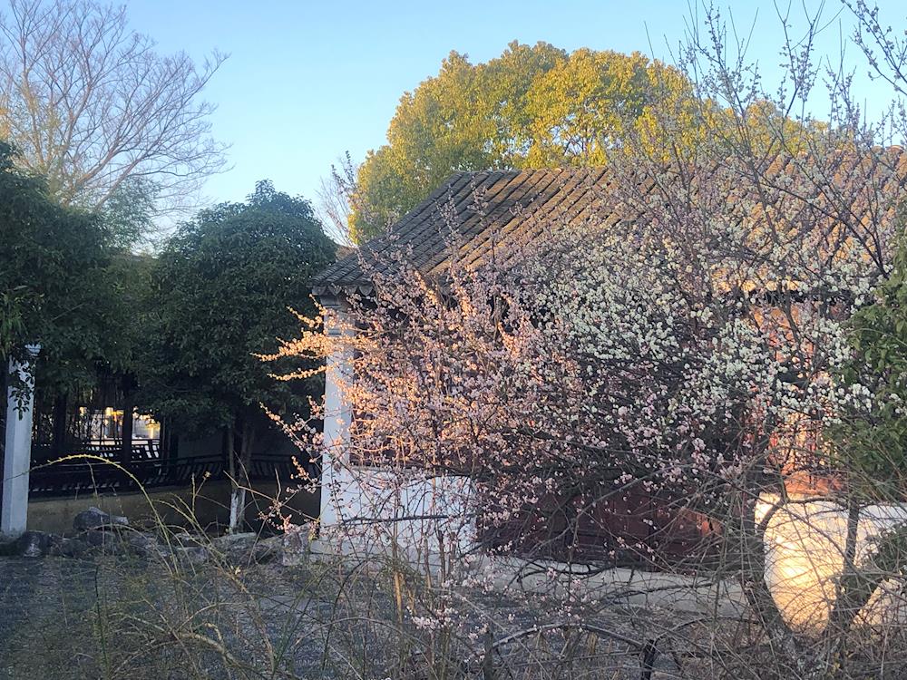 a06652492a834349bd7b7469fe5fc1f6.jpg a06652492a834349bd7b7469fe5fc1f6.jpg