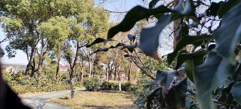 abfa578b70e7400e971eddfb099c746e.jpg abfa578b70e7400e971eddfb099c746e.jpg