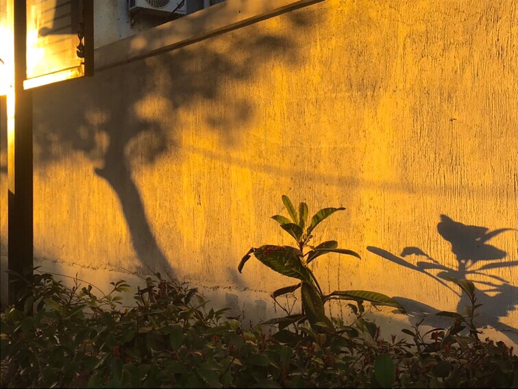 c411a721256449f5a0b69d61a61def93.jpg c411a721256449f5a0b69d61a61def93.jpg