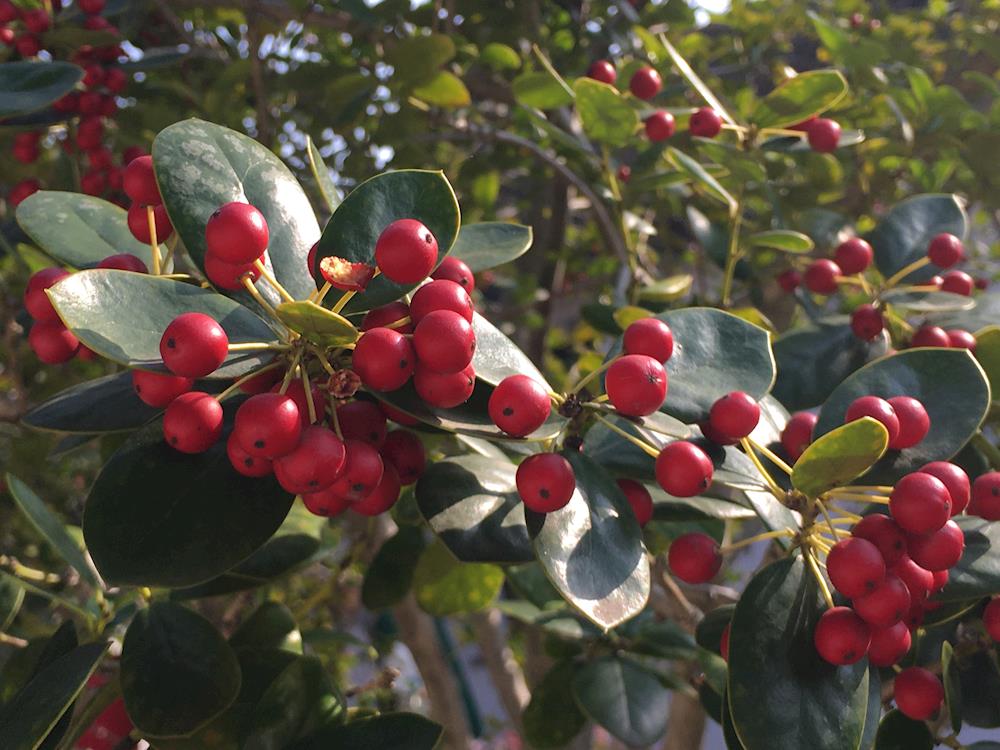 dd1c685d7ac74fcfa14d24899691649f.jpg dd1c685d7ac74fcfa14d24899691649f.jpg