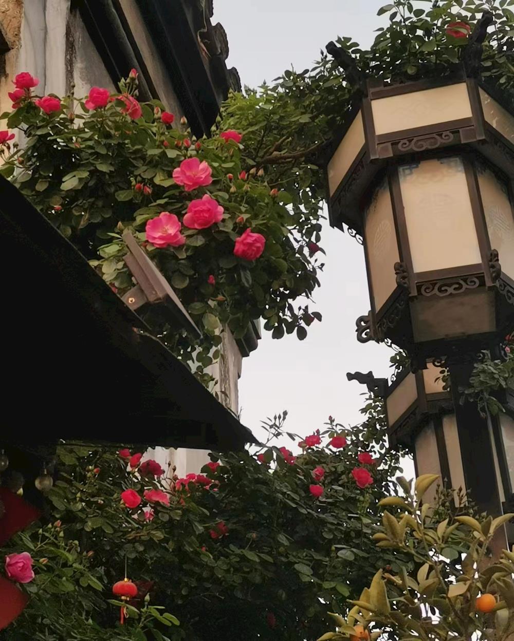 d2406cf8af334ef4936bcea9fe068d75.jpg d2406cf8af334ef4936bcea9fe068d75.jpg