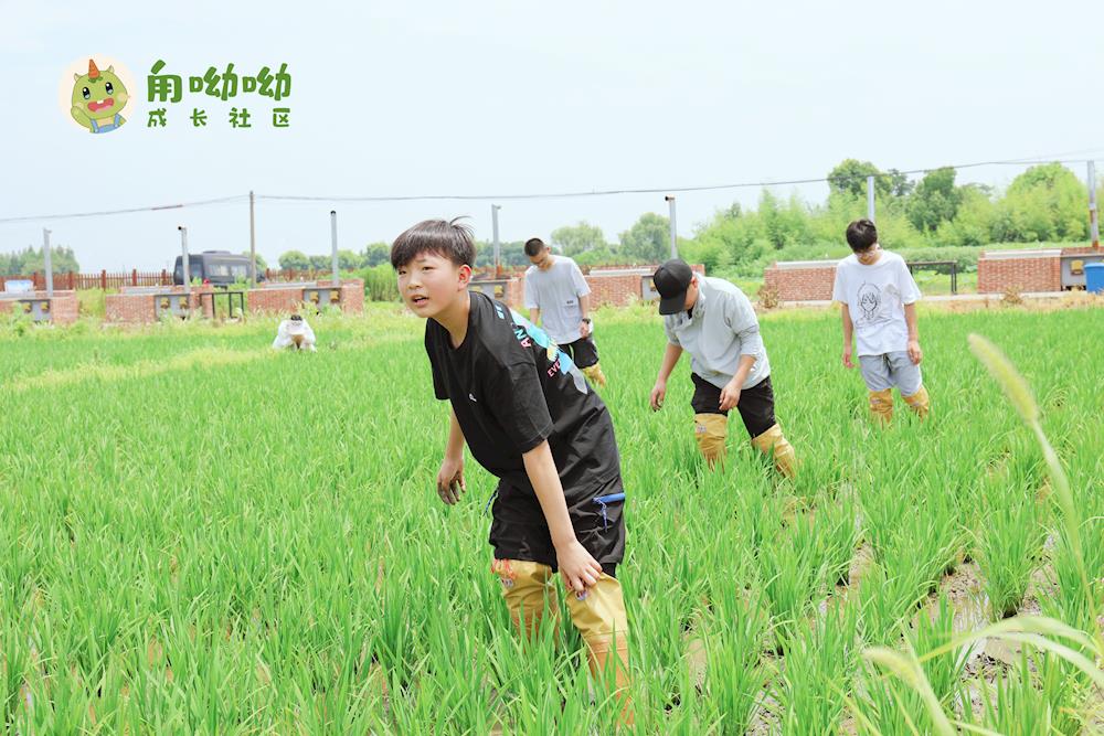 ff17973117b446f695d43355a9a3a5c1.jpg ff17973117b446f695d43355a9a3a5c1.jpg