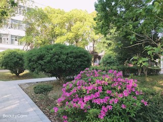 校园掠影（一）